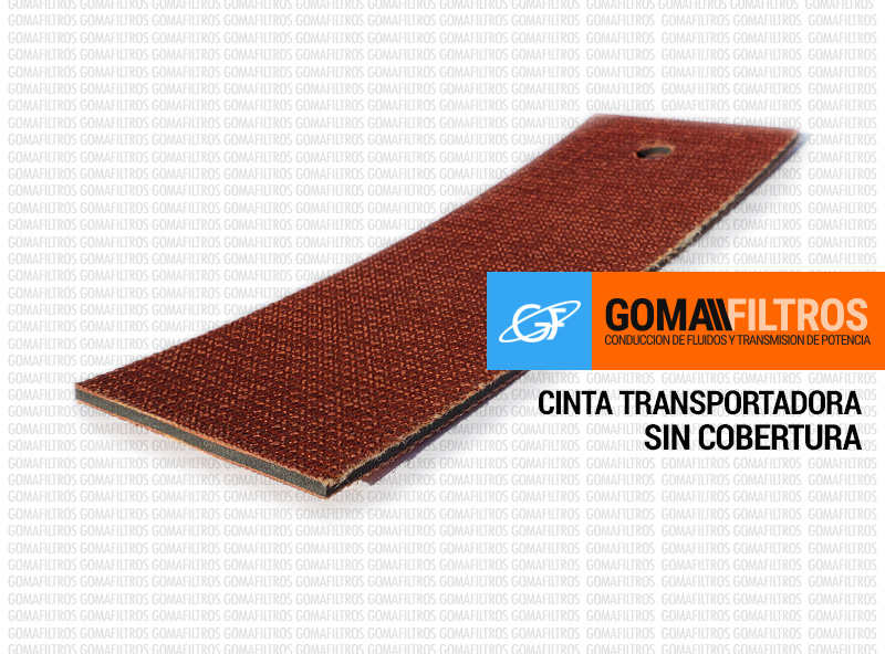 Cinta transportadora EP250 sin cobertura